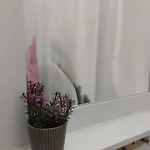 Floki In The Center Self Check In * Σαράγεβο