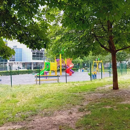 Floki In The Center Self Check In