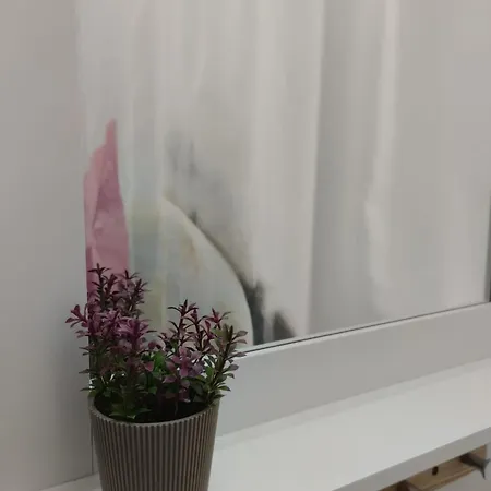 Floki In The Center * סראייבו