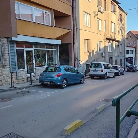 Floki In The Center * Sarajevo