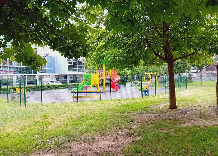 Floki In The Center Self Check In