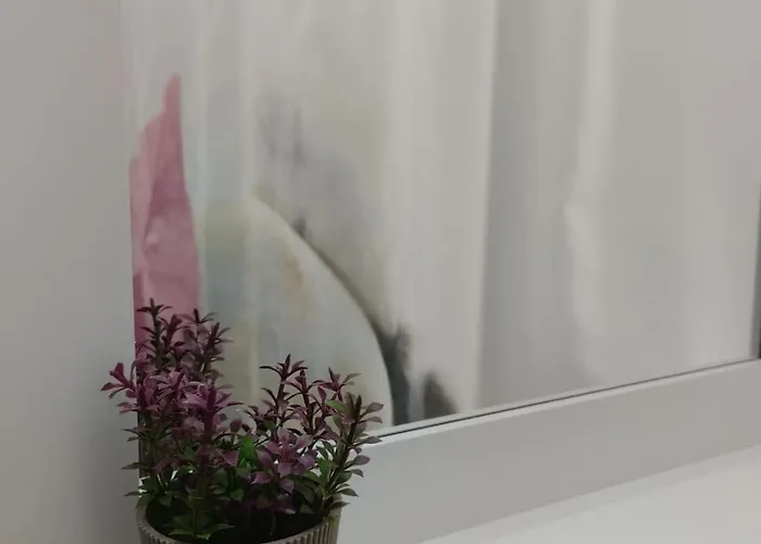 Floki In The Center Self Check In * سراييفو