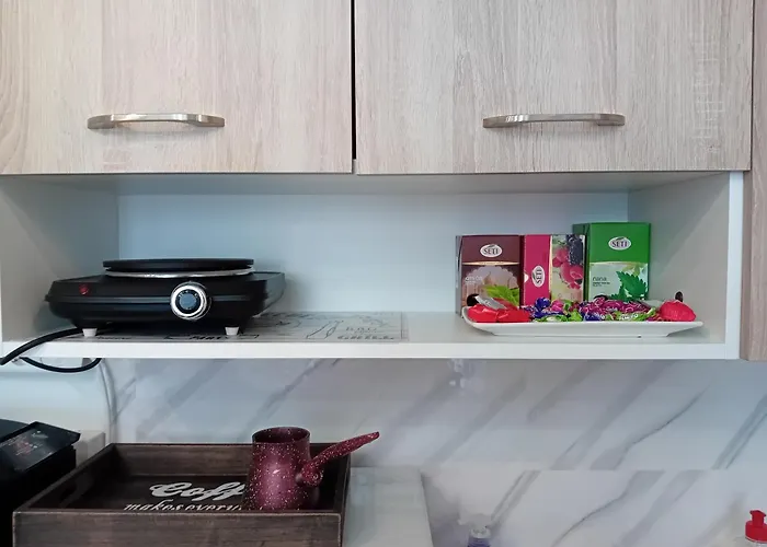 Floki In The Center Self Check In * Szarajevó