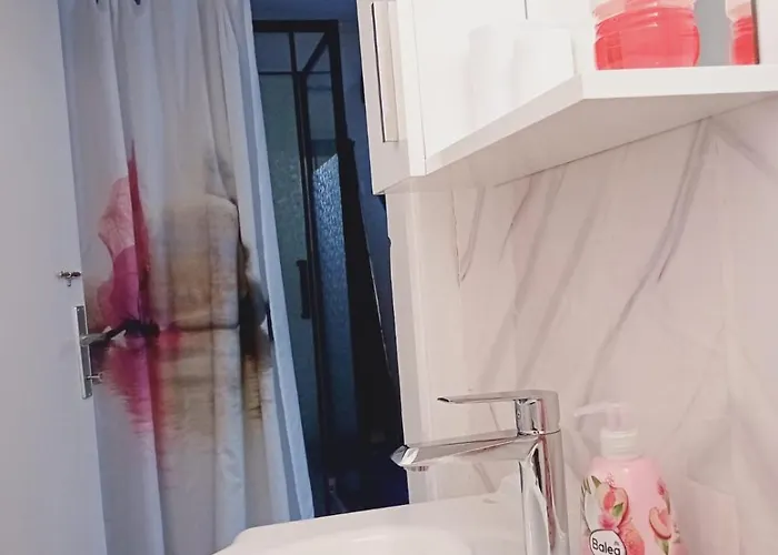 Floki In The Center Self Check In سراييفو