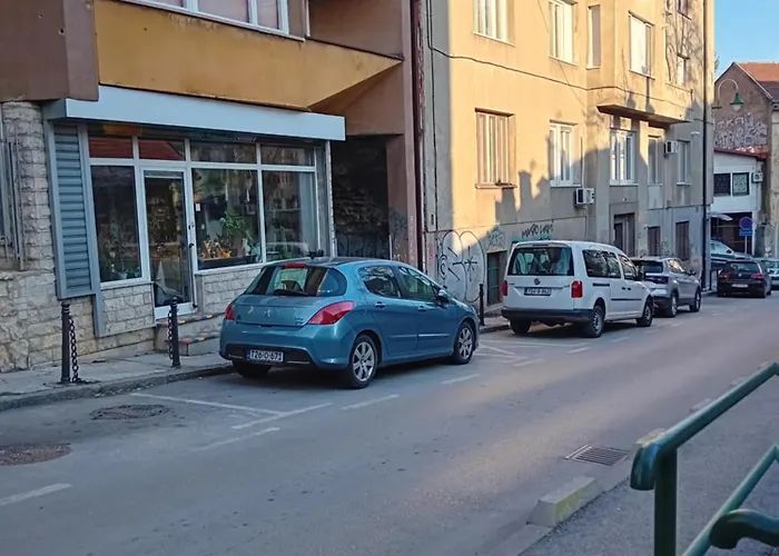 Floki In The Center Self Check In * سراييفو