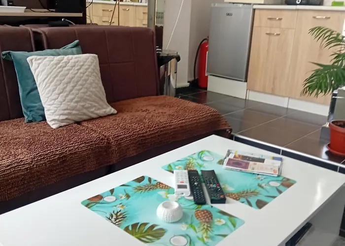 Floki In The Center Self Check In